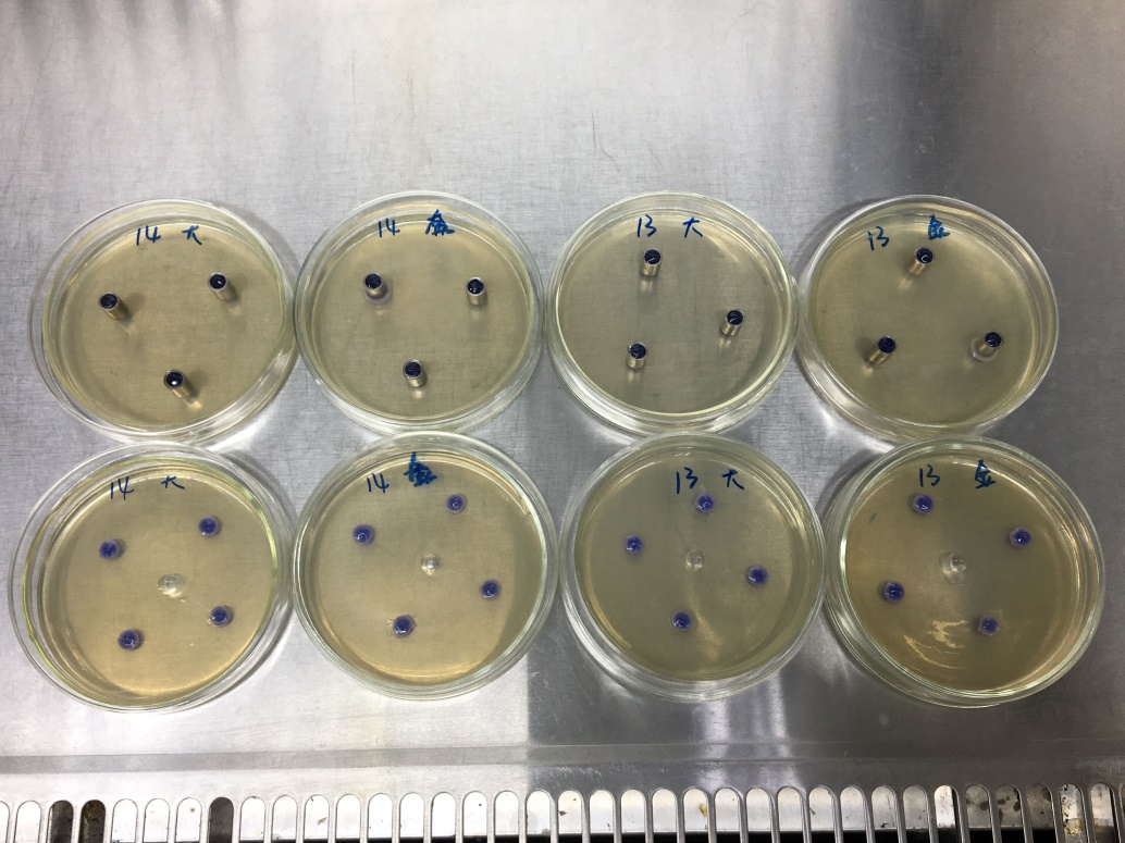 膏霜,牙膏等粘稠产品的抑菌环试验方法探讨-微生物